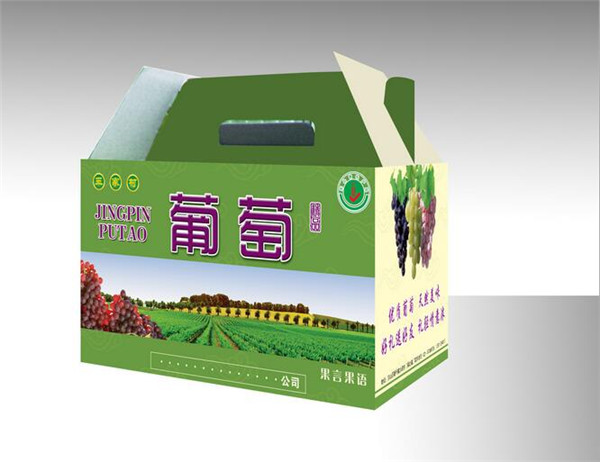 西(xī)安水果包裝紙箱案(àn)例