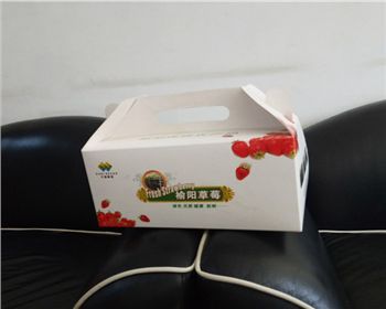 草莓禮盒(hé)紙箱(xiāng)