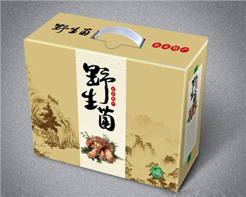 紙(zhǐ)箱印版的(de)種類和特性